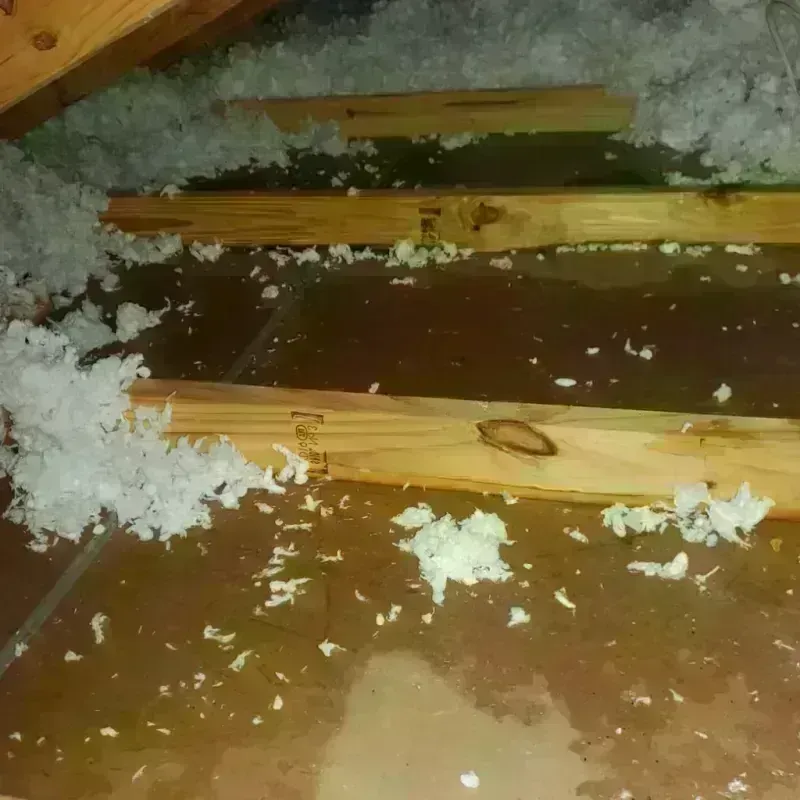 Attic Water Damage in Westminster, LA